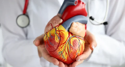 Clinical Cardiology Courses After MBBS: Skills, Duration & Salary Scope