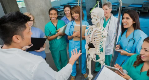 fellowship after MBBS in India