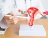 Reproductive Medicine Fellowship: Scope, Eligibility & Career Opportunities