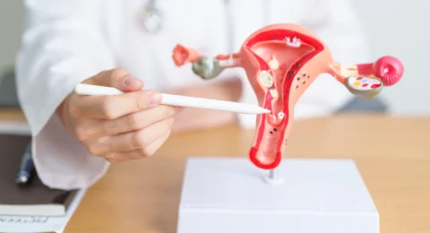 Reproductive Medicine Fellowship: Scope, Eligibility & Career Opportunities