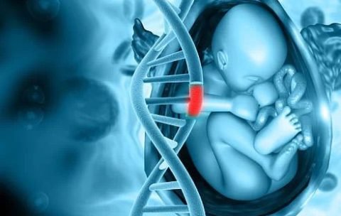 Fellowship in Fetal Medicine