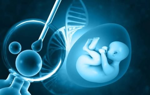 PGD in Reproductive Medicine